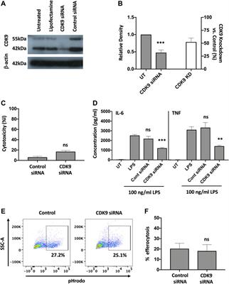 Inhibition of Cyclin-Dependent Kinase 9 Downregulates Cytokine Production Without Detrimentally Affecting Human Monocyte-Derived Macrophage Viability